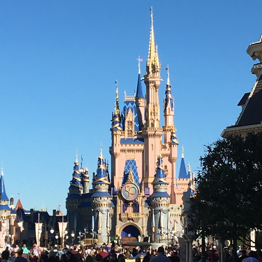 DISNEY SHARE SHOW